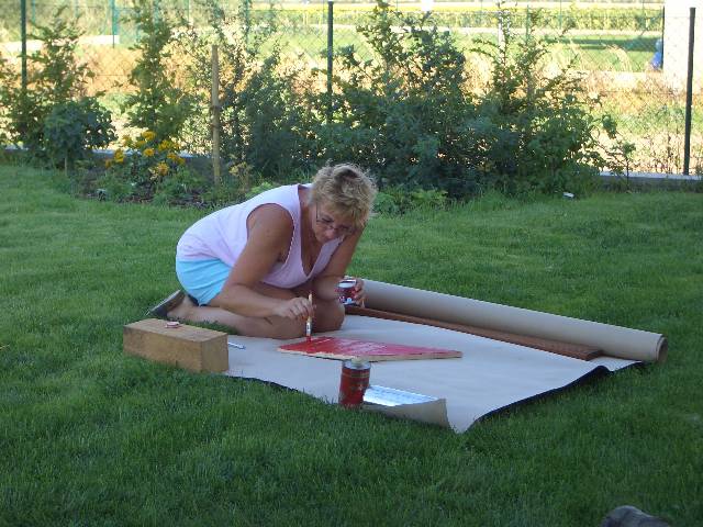 CIMG4088 Florfliegen m�gen rot.