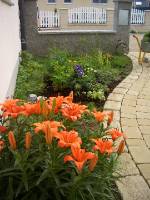 CIMG3983 Alles bl�ht und gedeiht