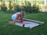 CIMG4088 Florfliegen m�gen rot.